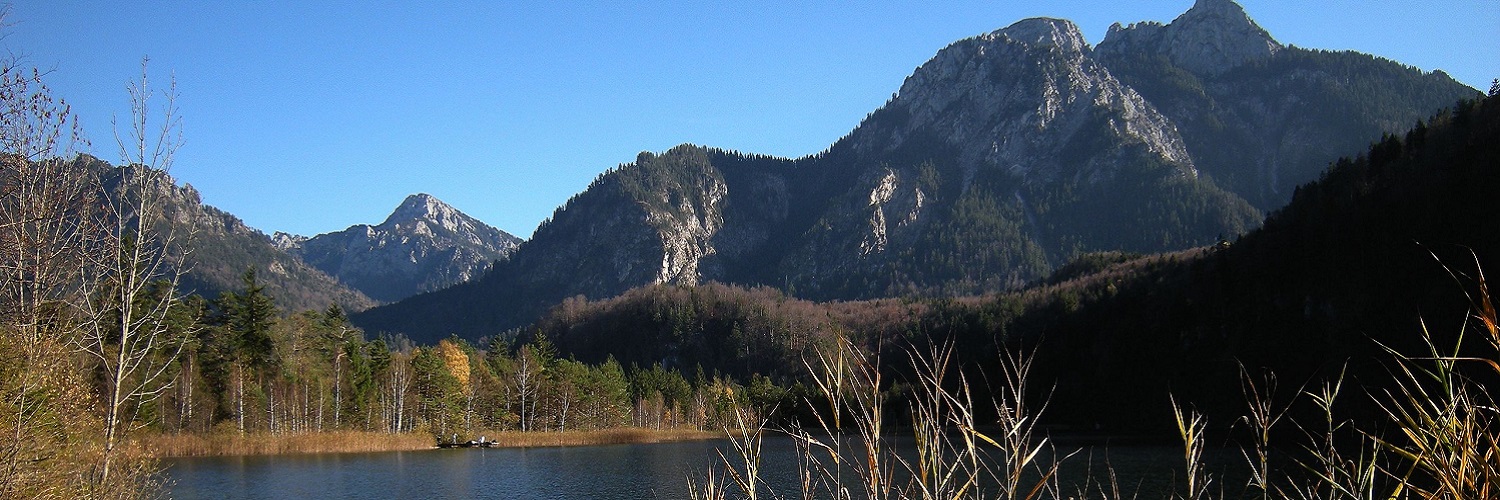 Anbieter und Angebote aus dem Regierungsbezirk Schwaben